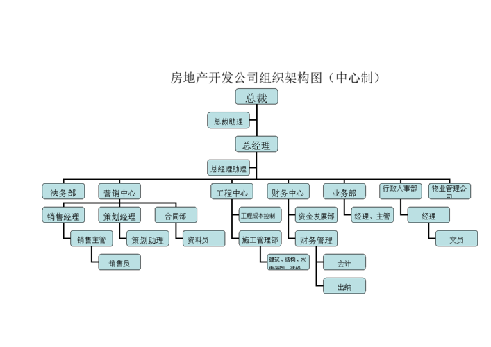 2015房地产开发公司组织架构图.doc